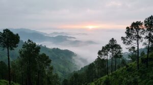 homestay near Kasauli